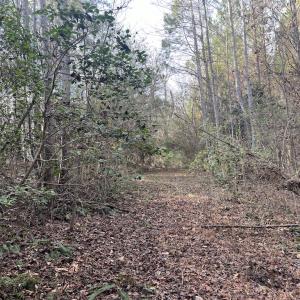 Photo #28 of SOLD property in 01 Peachtree Hills Road, Spring Hope, NC 11.3 acres