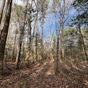 Photo #32 of SOLD property in 01 Peachtree Hills Road, Spring Hope, NC 11.3 acres