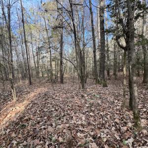 Photo #33 of SOLD property in 01 Peachtree Hills Road, Spring Hope, NC 11.3 acres