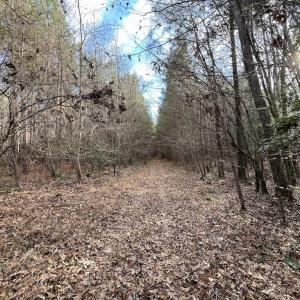 Photo #35 of SOLD property in 01 Peachtree Hills Road, Spring Hope, NC 11.3 acres