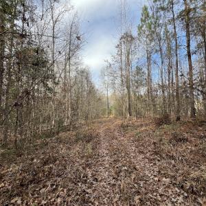Photo #36 of SOLD property in 01 Peachtree Hills Road, Spring Hope, NC 11.3 acres