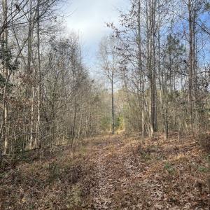Photo #37 of SOLD property in 01 Peachtree Hills Road, Spring Hope, NC 11.3 acres