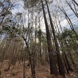 Photo #38 of SOLD property in 01 Peachtree Hills Road, Spring Hope, NC 11.3 acres