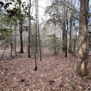 Photo #39 of SOLD property in 01 Peachtree Hills Road, Spring Hope, NC 11.3 acres