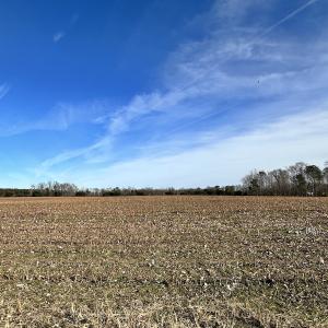 Photo #11 of SOLD property in Off Old Stage Hwy, Smithfield, VA 18.7 acres