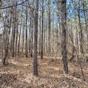 Photo #13 of SOLD property in Off Old Stage Hwy, Smithfield, VA 18.7 acres