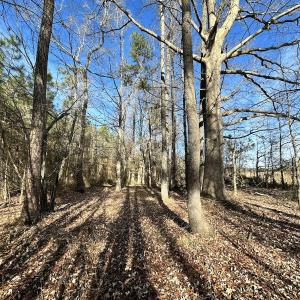 Photo #14 of SOLD property in Off Old Stage Hwy, Smithfield, VA 18.7 acres