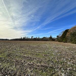 Photo #8 of SOLD property in Off Old Stage Hwy, Smithfield, VA 18.7 acres