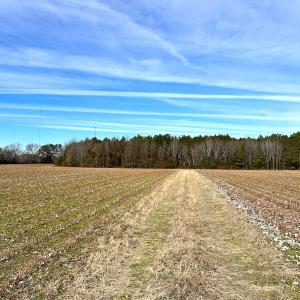 Photo #12 of SOLD property in Off Burwells Bay Rd, Smithfield, VA 101.3 acres
