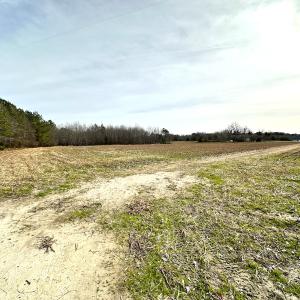 Photo #13 of SOLD property in Off Burwells Bay Rd, Smithfield, VA 101.3 acres