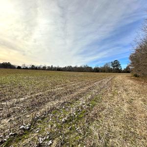 Photo #14 of SOLD property in Off Burwells Bay Rd, Smithfield, VA 101.3 acres