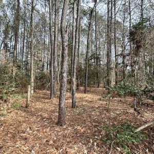 Photo #19 of SOLD property in Off Burwells Bay Rd, Smithfield, VA 101.3 acres