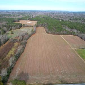 Photo #4 of SOLD property in Off Burwells Bay Rd, Smithfield, VA 101.3 acres