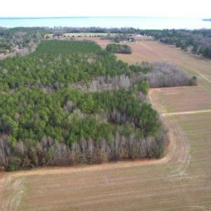 Photo #9 of SOLD property in Off Burwells Bay Rd, Smithfield, VA 101.3 acres