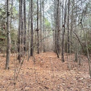 Photo #21 of SOLD property in Off Burwells Bay Rd, Smithfield, VA 101.3 acres