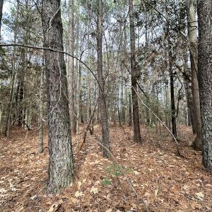 Photo #23 of SOLD property in Off Burwells Bay Rd, Smithfield, VA 101.3 acres