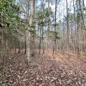 Photo #24 of SOLD property in Off Burwells Bay Rd, Smithfield, VA 101.3 acres