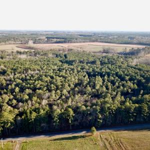 Photo #2 of SOLD property in 320 Collins Rd, Whaleyville, VA 18.5 acres