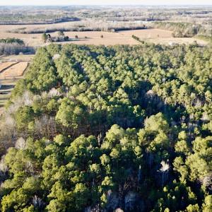 Photo #4 of SOLD property in 320 Collins Rd, Whaleyville, VA 18.5 acres