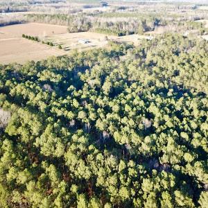 Photo #5 of SOLD property in 320 Collins Rd, Whaleyville, VA 18.5 acres