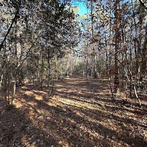 Photo #10 of SOLD property in 320 Collins Rd, Whaleyville, VA 18.5 acres