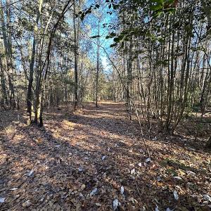 Photo #11 of SOLD property in 320 Collins Rd, Whaleyville, VA 18.5 acres