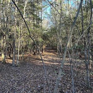 Photo #12 of SOLD property in 320 Collins Rd, Whaleyville, VA 18.5 acres