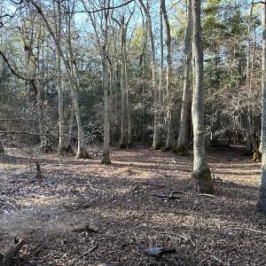 Photo #16 of SOLD property in 320 Collins Rd, Whaleyville, VA 18.5 acres
