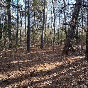 Photo #22 of SOLD property in 320 Collins Rd, Whaleyville, VA 18.5 acres
