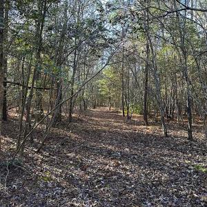 Photo #26 of SOLD property in 320 Collins Rd, Whaleyville, VA 18.5 acres