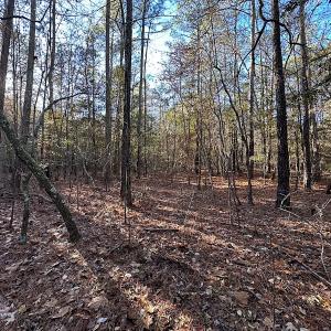 Photo #29 of SOLD property in 320 Collins Rd, Whaleyville, VA 18.5 acres
