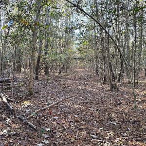 Photo #31 of SOLD property in 320 Collins Rd, Whaleyville, VA 18.5 acres