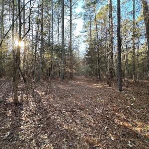 Photo #33 of SOLD property in 320 Collins Rd, Whaleyville, VA 18.5 acres