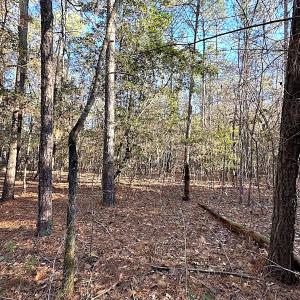 Photo #36 of SOLD property in 320 Collins Rd, Whaleyville, VA 18.5 acres