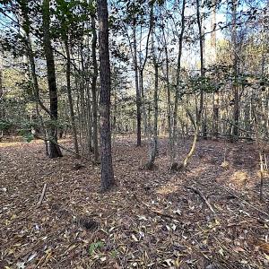 Photo #39 of SOLD property in 320 Collins Rd, Whaleyville, VA 18.5 acres
