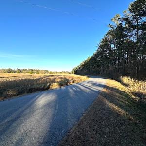Photo #40 of SOLD property in 320 Collins Rd, Whaleyville, VA 18.5 acres