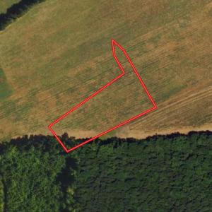 Photo #1 of SOLD property in Off Cherry Grove Road - Lot 21, Yanceyville, NC 1.0 acres
