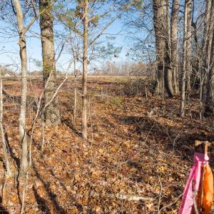 Photo #9 of SOLD property in Off Cherry Grove Road - Lot 21, Yanceyville, NC 1.0 acres