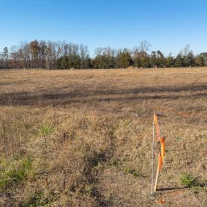 Photo #13 of SOLD property in Off Cherry Grove Road - Lot 21, Yanceyville, NC 1.0 acres