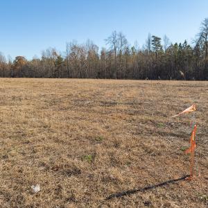 Photo #19 of SOLD property in Off Cherry Grove Road - Lot 21, Yanceyville, NC 1.0 acres