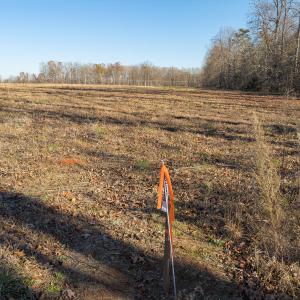 Photo #25 of SOLD property in Off Cherry Grove Road - Lot 21, Yanceyville, NC 1.0 acres