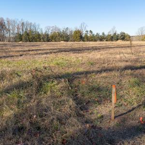 Photo #27 of SOLD property in Off Cherry Grove Road - Lot 21, Yanceyville, NC 1.0 acres