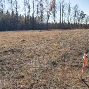 Photo #29 of SOLD property in Off Cherry Grove Road - Lot 21, Yanceyville, NC 1.0 acres