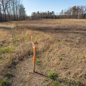 Photo #30 of SOLD property in Off Cherry Grove Road - Lot 21, Yanceyville, NC 1.0 acres