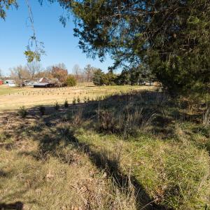 Photo #11 of SOLD property in Off Cherry Grove Road - Lot 16, Yanceyville, NC 1.1 acres