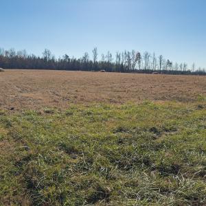 Photo #7 of SOLD property in Off Cherry Grove Road - Lot 17, Yanceyville, NC 1.1 acres