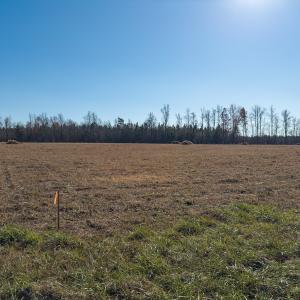 Photo #13 of SOLD property in Off Cherry Grove Road - Lot 17, Yanceyville, NC 1.1 acres
