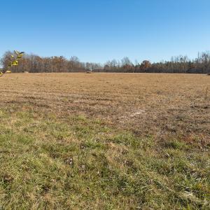 Photo #14 of SOLD property in Off Cherry Grove Road - Lot 17, Yanceyville, NC 1.1 acres