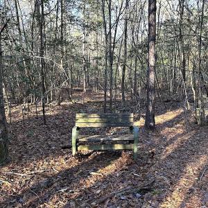 Photo #20 of SOLD property in 320 Collins Rd, Whaleyville, VA 18.5 acres