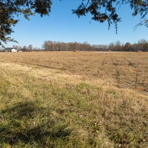 Photo #11 of SOLD property in Off Cherry Grove Road - Lot 18, Yanceyville, NC 1.1 acres